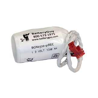 Dantona CUSTOM-243 Replacement Battery (Rechargeable)